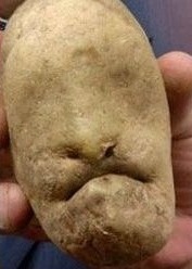 Name:  potato.jpg
Views: 0
Size:  15.9 KB