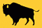 Bison